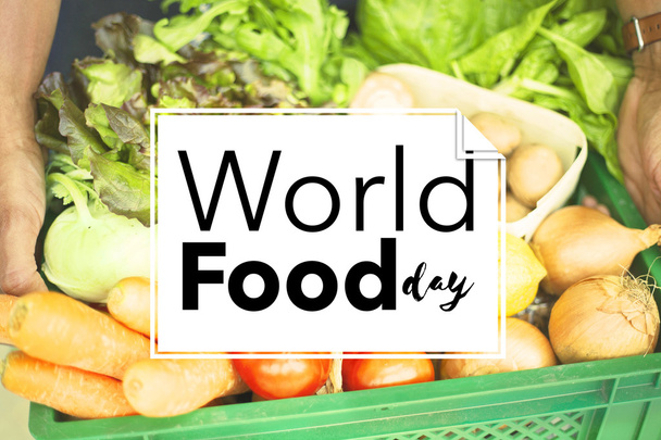 International Food Day - Fotografie, Obrázek