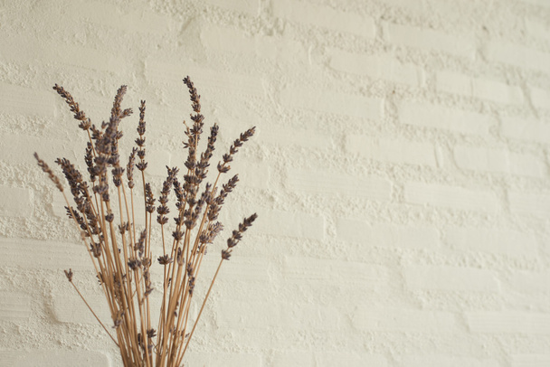 Dried Flowers for decoration with Empty Wall in Minimal Style - Zdjęcie, obraz