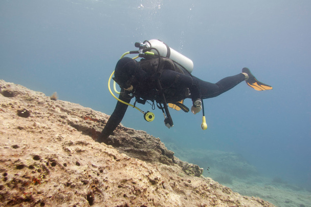 Mergulhador explorando recifes de corais
 - Foto, Imagem