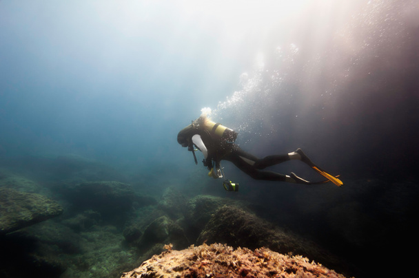 Аквалангіст спрямований на вивчення коралових рифів - Фото, зображення