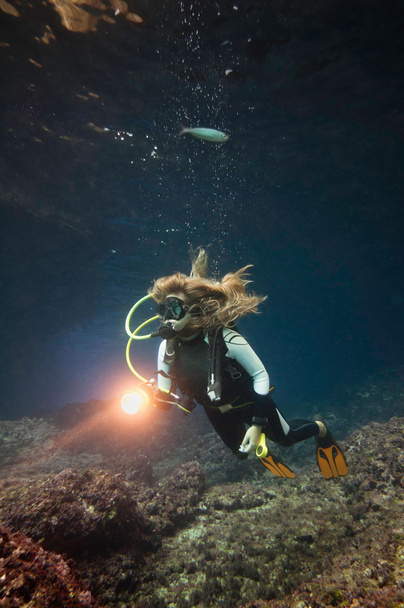 Scuba diver exploring marine life  - Photo, Image