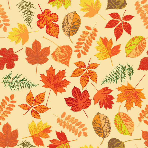 Autumn leaves, seamless - Вектор,изображение