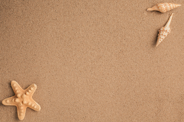 夏。夏の背景。夏のアクセサリー、夏のコンセプト。背景として砂とヒトデ。砂のテクスチャ - 写真・画像