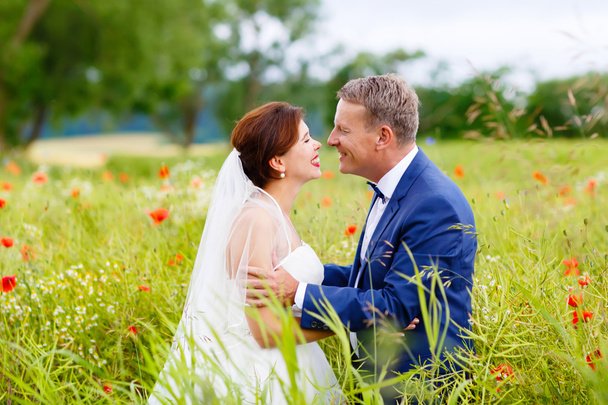 ピンクのケシ畑で幸せな結婚式のカップル - 写真・画像