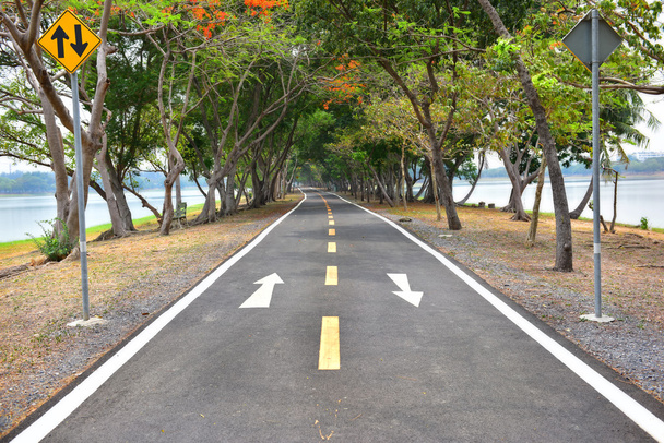 Асфальтовая дорога с тоннелем из естественных деревьев и белой стрелкой на дорожном покрытии
 - Фото, изображение