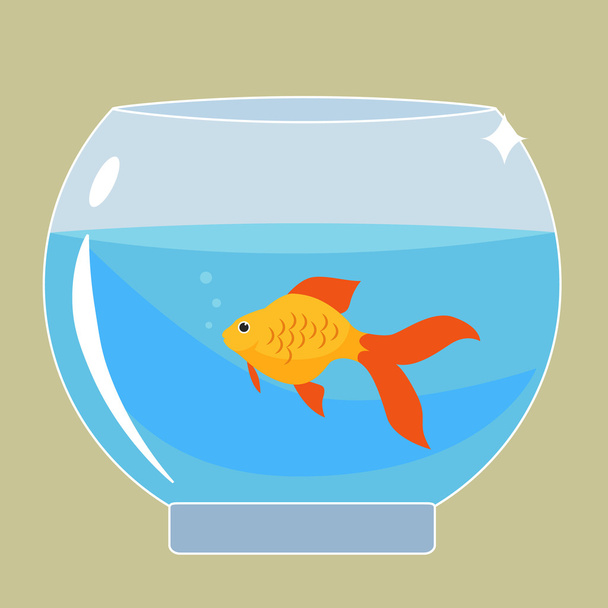 Gold fish in aquarium - Vector, Image