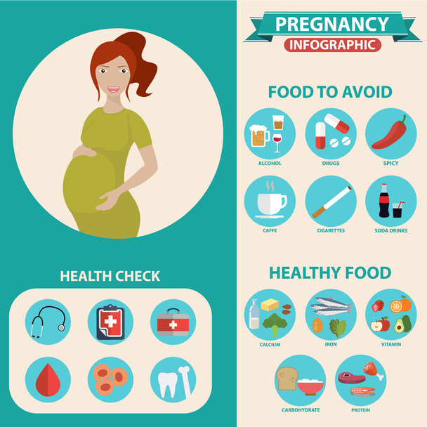 Embarazo e infografías de nacimiento - Vector, imagen