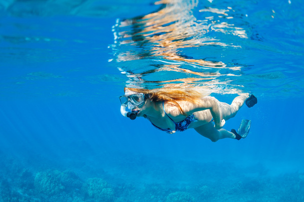 Женщина-подводное плавание в тропическом океане
 - Фото, изображение