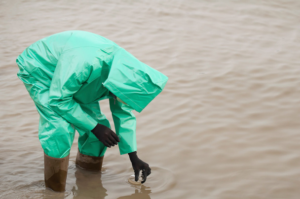 mężczyzna ekolog pobierania próbek, zanieczyszczona woda - Zdjęcie, obraz