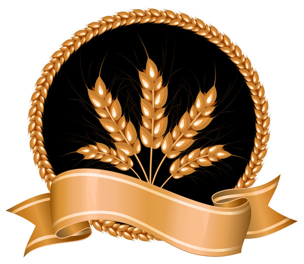 Ears of wheat on black background. - Vecteur, image