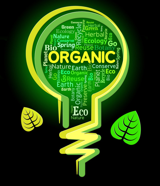Οργανικά Lightbulb αντιπροσωπεύει τη φύση, υπαίθρου και περιβάλλοντος - Φωτογραφία, εικόνα