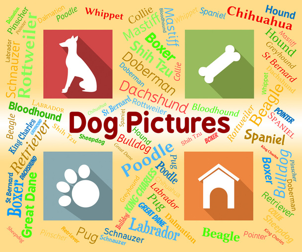 犬写真手段のペットの子犬と言葉 - 写真・画像