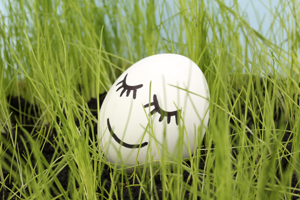 White egg with funny face in green grass - Foto, Imagem