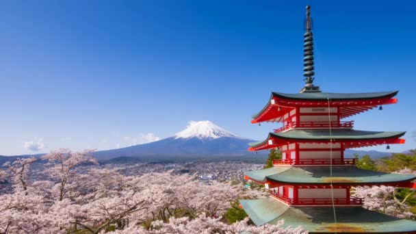 4k Zeitraffer von mt. Fuji mit Chureito-Pagode im Frühling, Fujiyoshida, Japan - Filmmaterial, Video