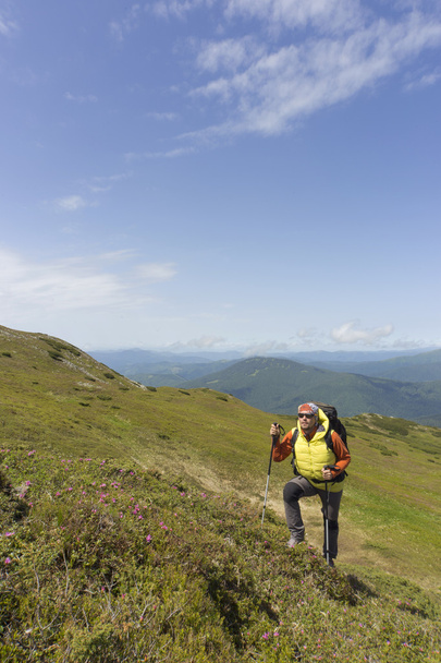 Summer hiking in the mountains with a backpack .  - Foto, imagen