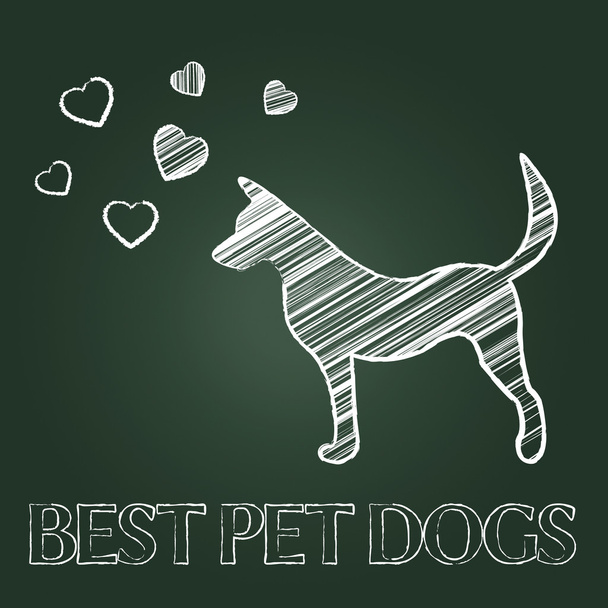 Лучшие домашние собаки - это домашние анисы и собаки
 - Фото, изображение