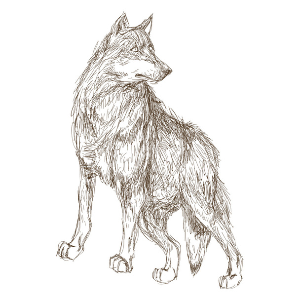 wolf sketch icon - Vector, Image