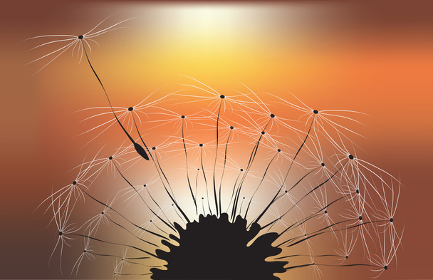 Dandelion and sunset background - Vector, Image