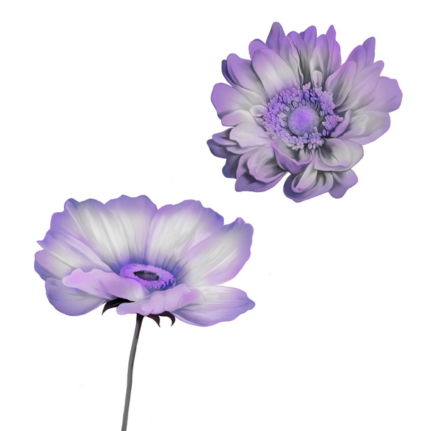 Набір гарних квітів
 - Фото, зображення