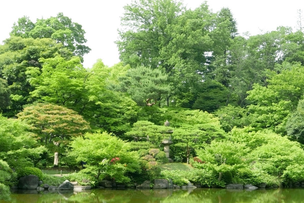 Πράσινα φυτά, λίμνη με αντανάκλαση στο γιαπωνέζικο κήπο ζεν - Φωτογραφία, εικόνα