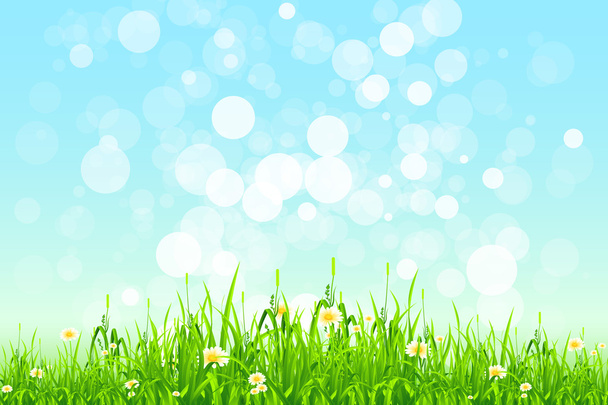 Green Grass - Вектор,изображение