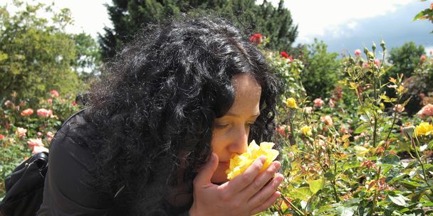 güzel esmer kokulu güller - Fotoğraf, Görsel