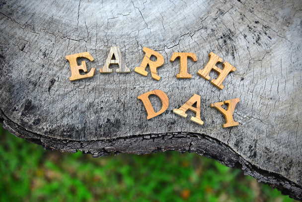 Wooden earth day word on wood log background - Fotó, kép