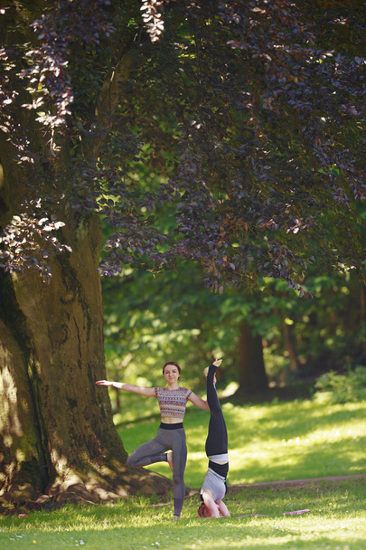 Two girls doing yoga exercises in park. - Fotó, kép