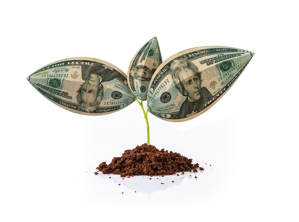 american currency & plant, american dollar & plant, indian currency note growing on plant, money plant, money on tree, currency tree, US $ and plant, US Dollar and growth, US Dollar and growth concept - Photo, Image
