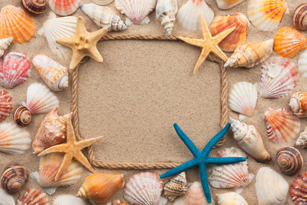 Beautiful frame of rope and seashells, starfish on the sand - Zdjęcie, obraz