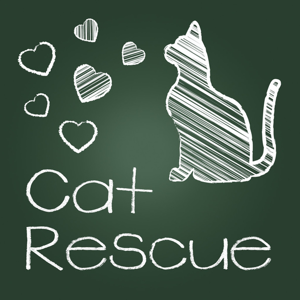 Кошачье спасательное шоу спасает котенка и восстанавливается
 - Фото, изображение