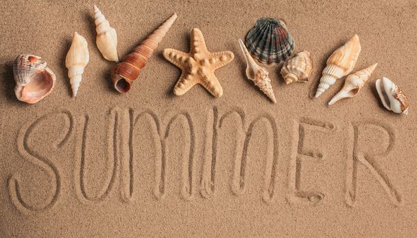 Starfish and shells with sand as background. Sand texture - Zdjęcie, obraz