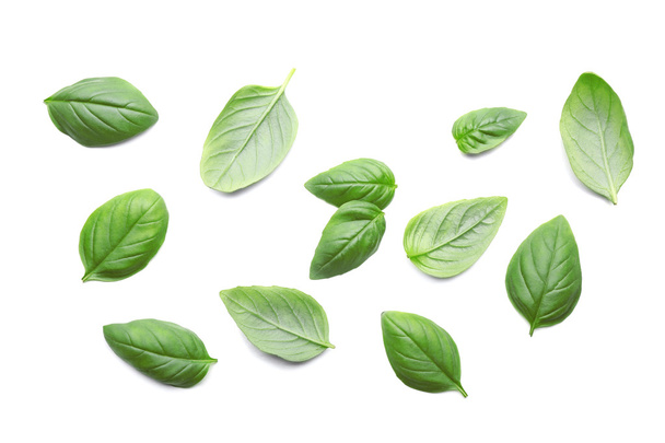 Green Basil Leaves - Foto, imagen