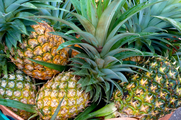 Pineapple - Fotó, kép