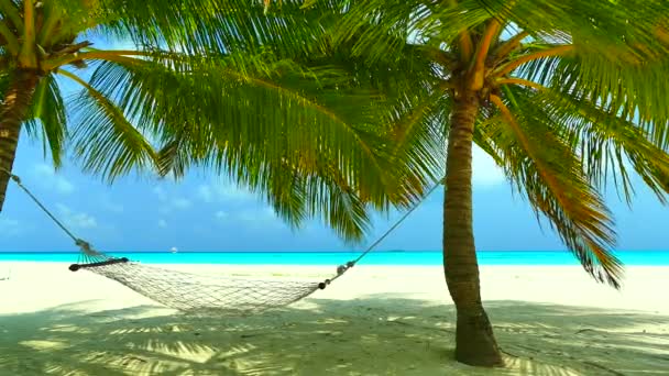 τροπική παραλία στις Μαλδίβες νησί - Πλάνα, βίντεο