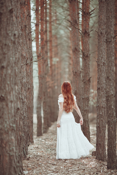 Ginger girl in white dress walking in pine forest. - Zdjęcie, obraz