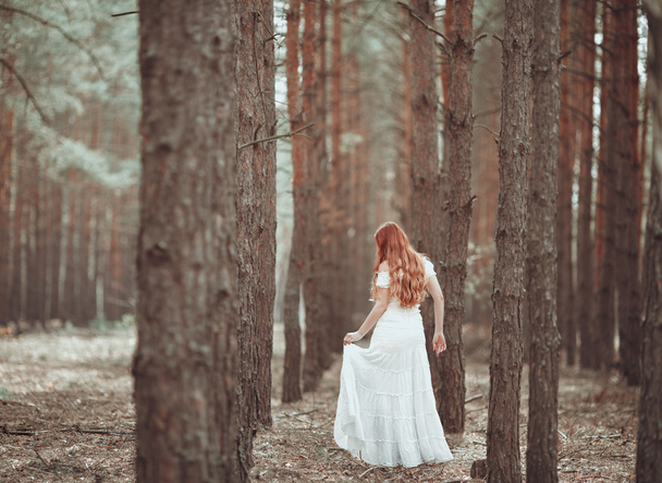 Ginger girl in white dress walking in pine forest. - Valokuva, kuva