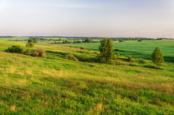 Summer rural landscape at sunset - Fotó, kép