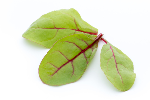 Fresh leaf beet root isolated on white background. - Foto, imagen