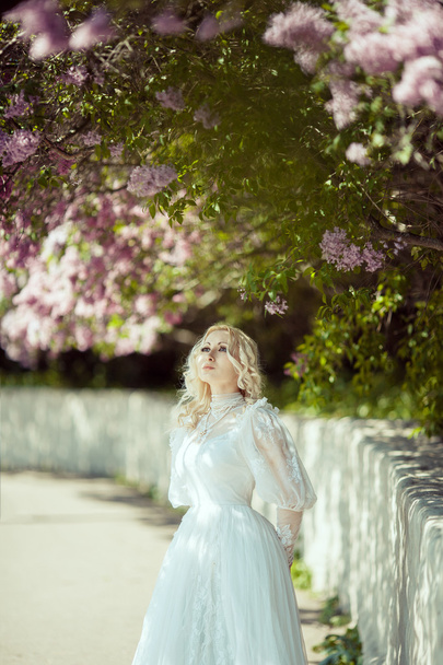 Ogród piękny blond kobieta w kwitnącego bzu. Koncepcja Vintage Panna Młoda - Zdjęcie, obraz