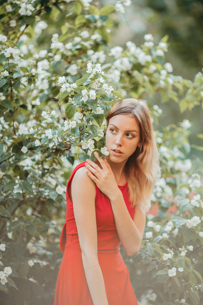 Hermosa joven en lindo vestido rojo caminando en el jardín cerca de flores de jazmín en flor
. - Foto, Imagen