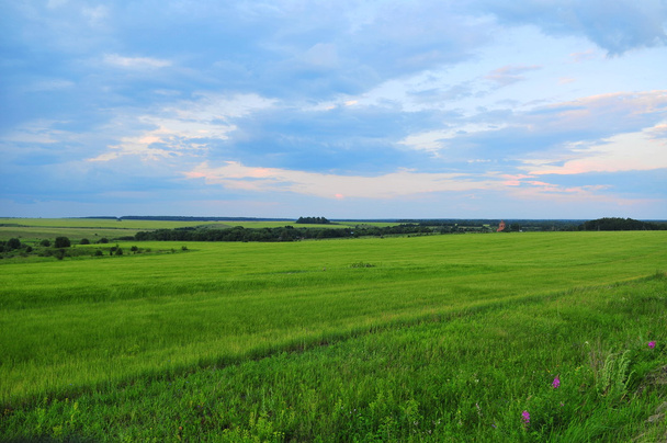 Wild lands Starozhilovo County. Russia - Foto, Bild