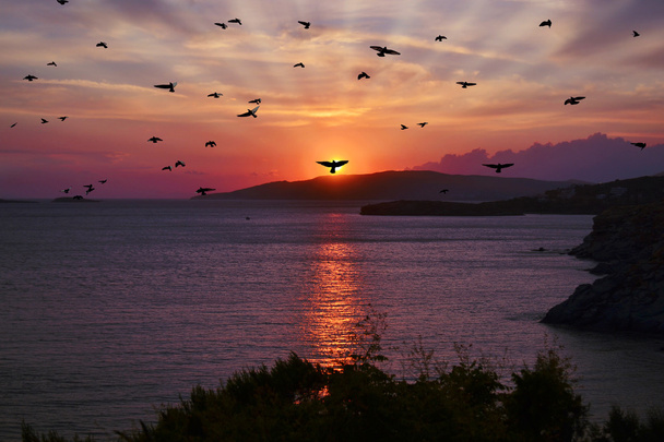 sunset with silhouette birds Greece - Photo, Image
