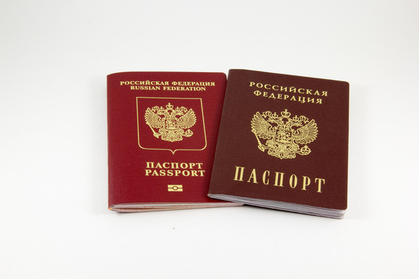 Rus pasaport ve pasaport - Fotoğraf, Görsel