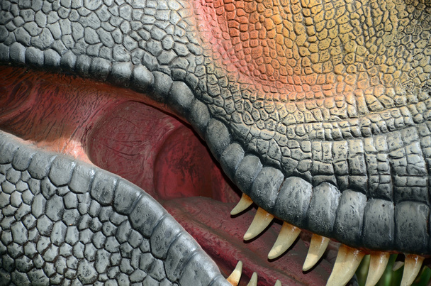 Intérieur d'une réplique de la bouche d'un dinosaure
 - Photo, image