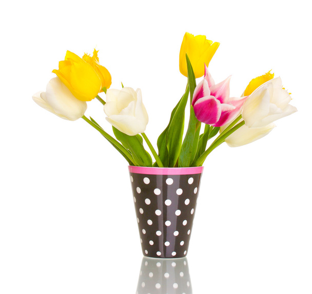 Beautiful tulips in vase isolated on white - Foto, immagini
