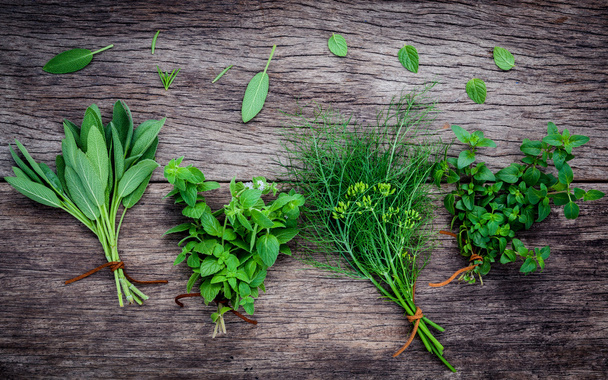 Various aromatic herbs and spices from garden fennel ,rosemary,o - Photo, Image