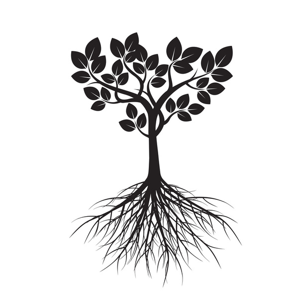 Forma di albero e radici. Illustrazione vettoriale
. - Vettoriali, immagini