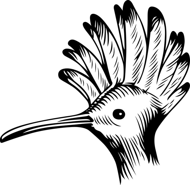 Bird's head - Vektor, Bild