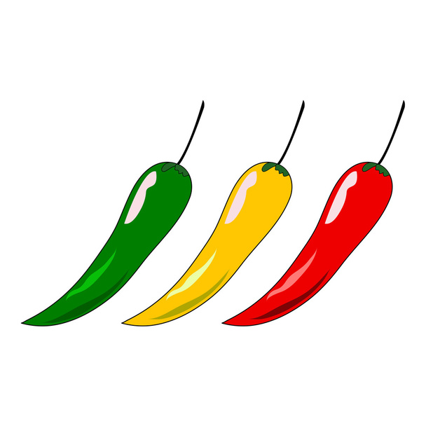 vector of chili on white background - Vector, Image